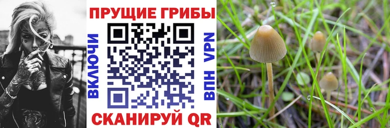 Галлюциногенные грибы мицелий  Лиски 